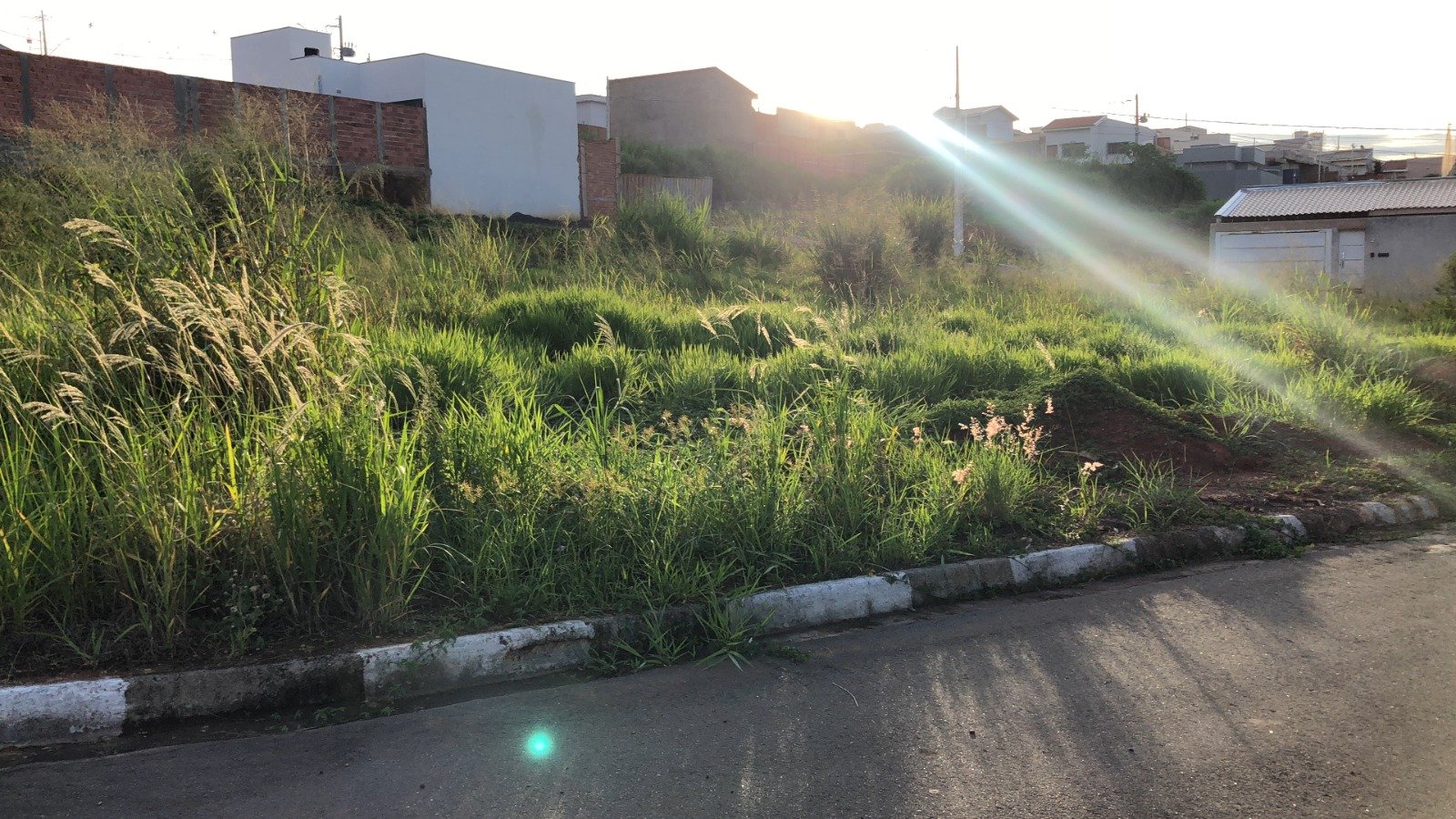 WhatsApp Image 2024-11-29 at 22.17.46 (1)