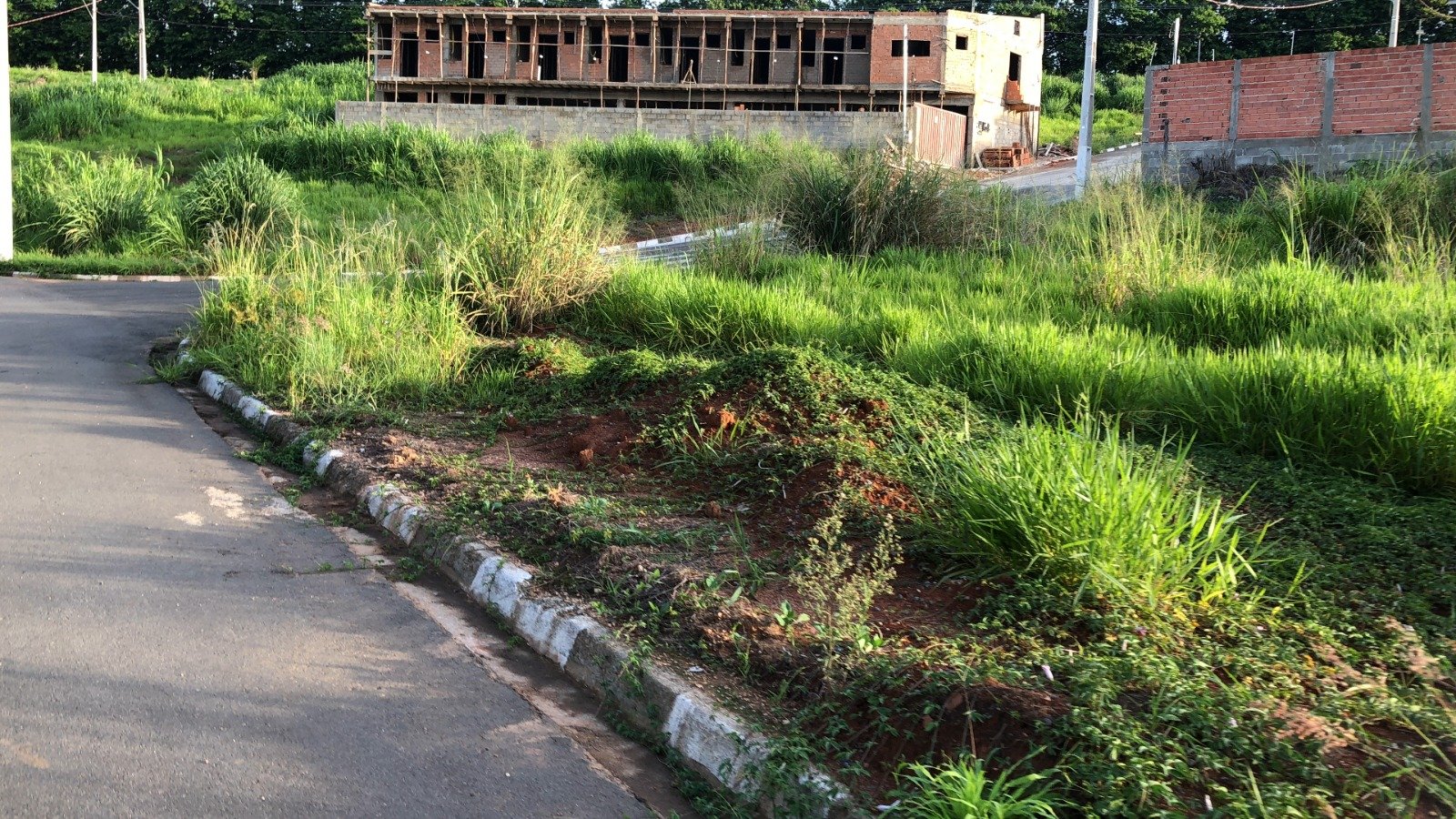 WhatsApp Image 2024-11-29 at 22.17.46 (2)