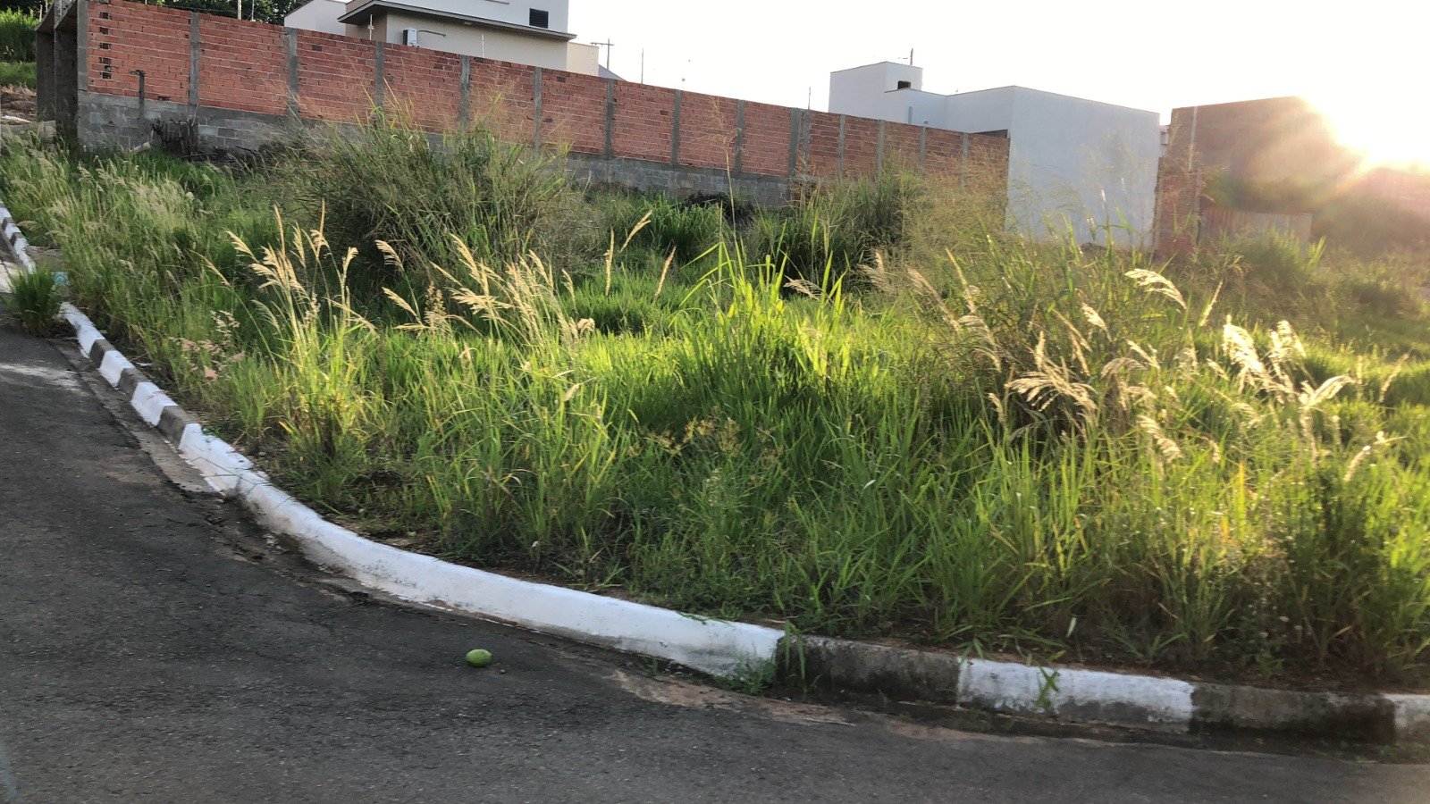 WhatsApp Image 2024-11-29 at 22.17.46