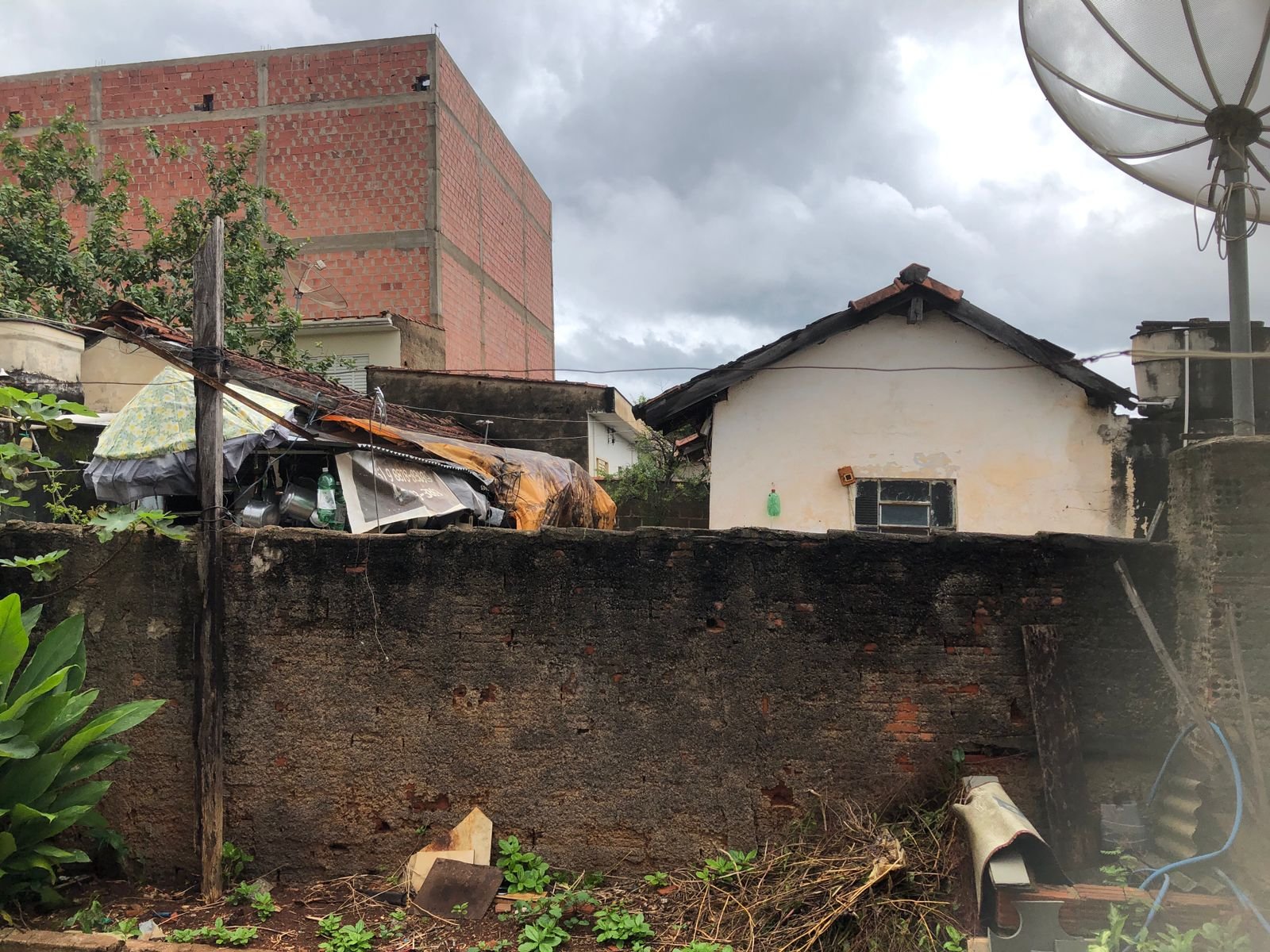 WhatsApp Image 2025-02-03 at 15.04.31