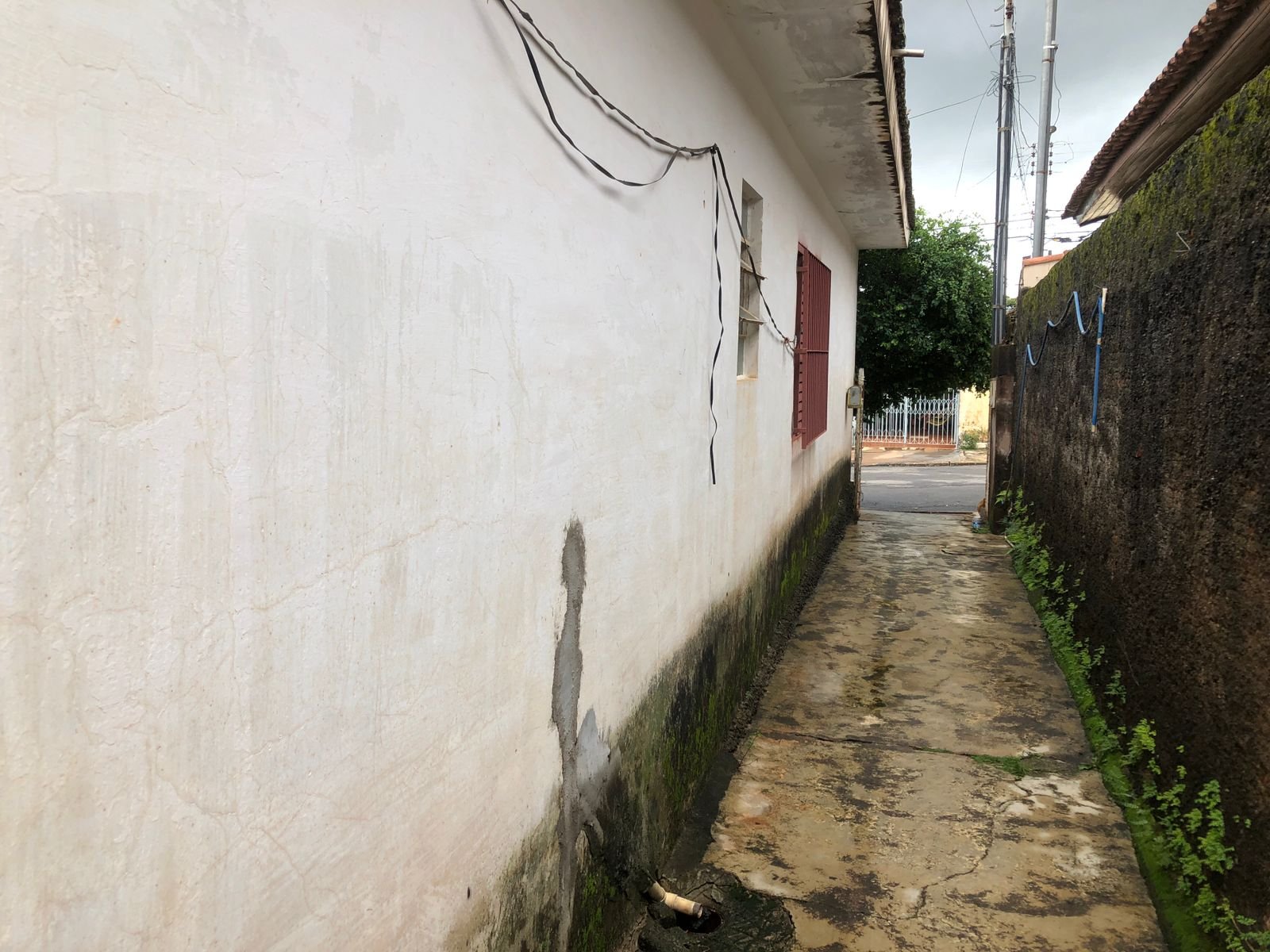 WhatsApp Image 2025-02-03 at 15.04.32