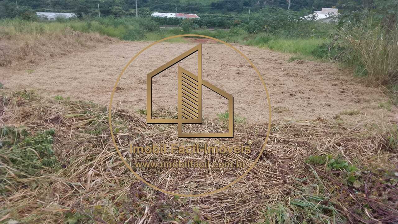 WhatsApp Image 2025-02-20 at 13.50.44(1)