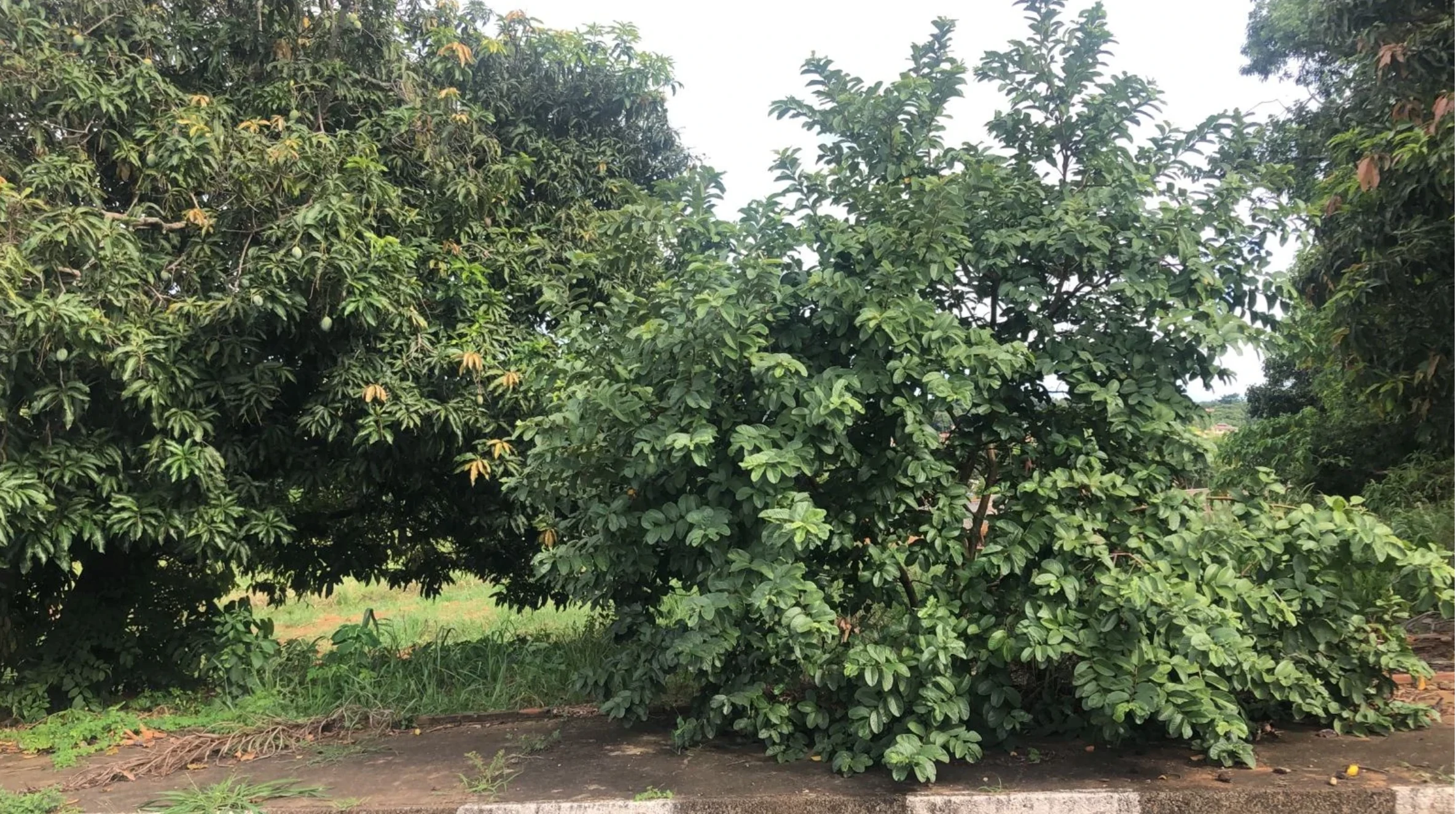 Terreno à venda no Portal dos Nobres – Guaxupé/MG