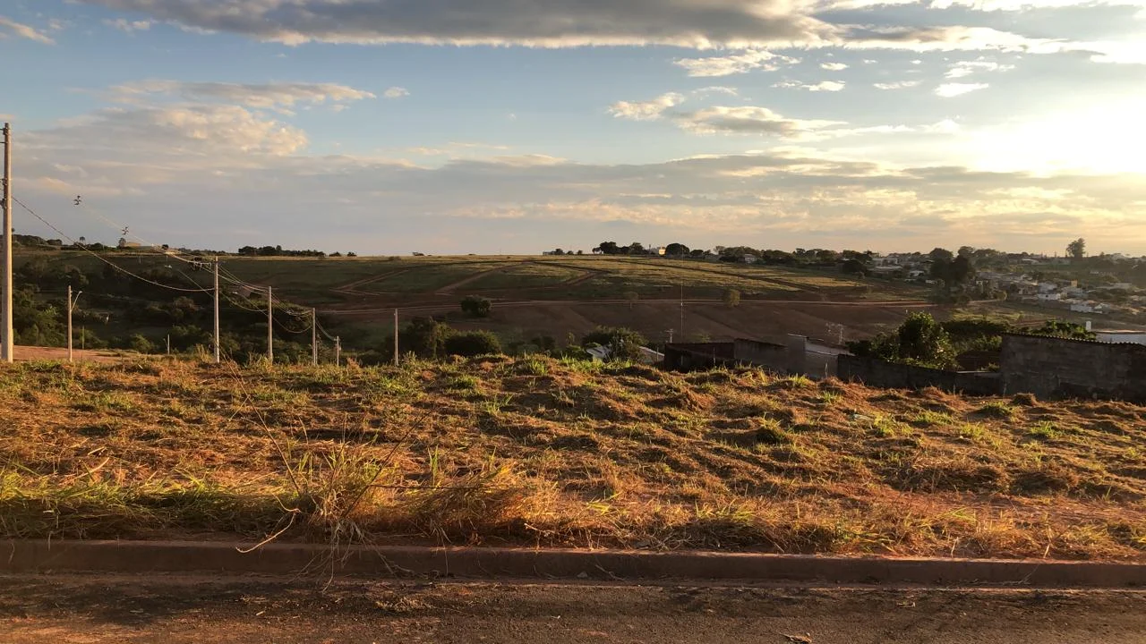 Bouganville Guaxupé