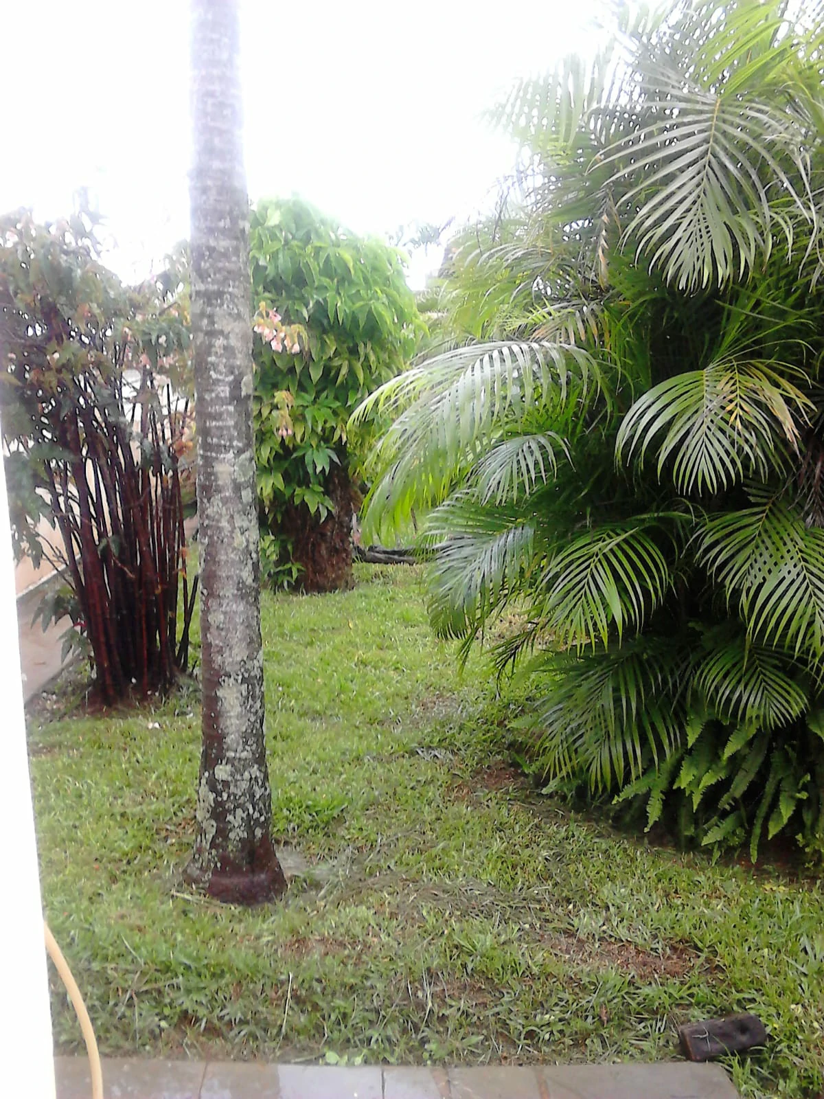 Casa à venda no Centro – Guaranésia/MG - Foto 15