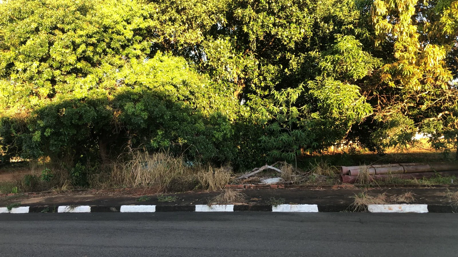 Chácara à venda no Portal dos Nobres – Guaxupé/MG (Cópia) - Foto 3